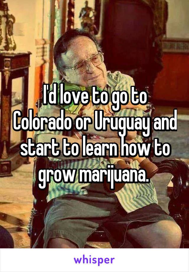 I'd love to go to Colorado or Uruguay and start to learn how to grow marijuana. 