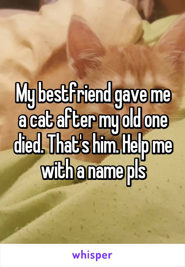 My bestfriend gave me a cat after my old one died. That's him. Help me with a name pls