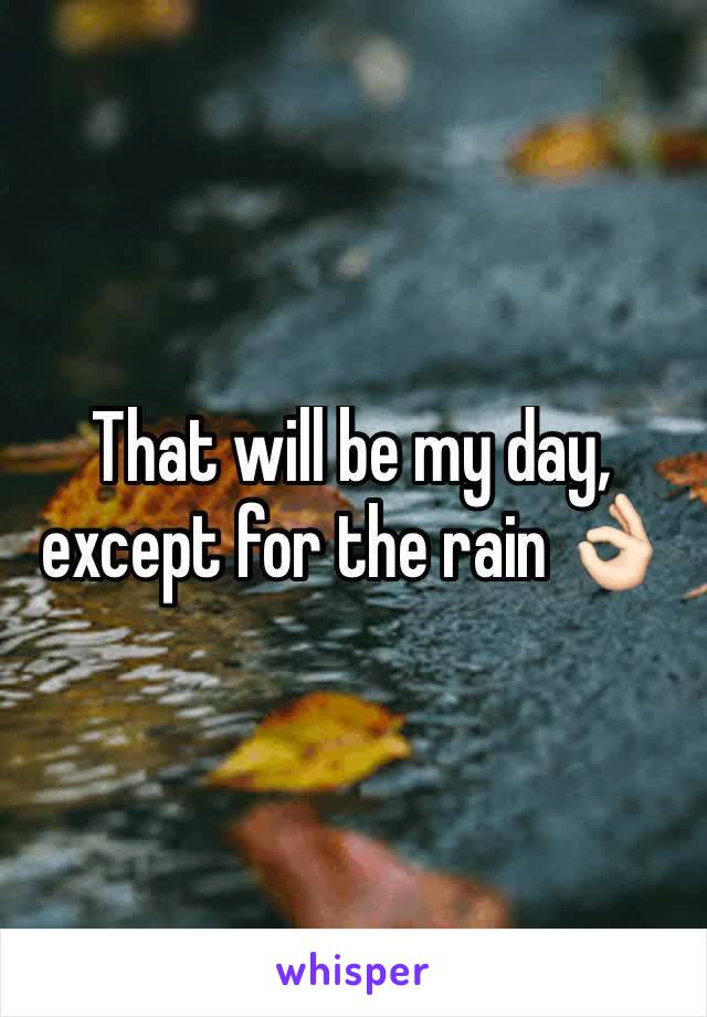 That will be my day, except for the rain 👌🏻