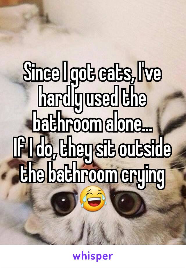 Since I got cats, I've hardly used the bathroom alone...
If I do, they sit outside the bathroom crying 😂