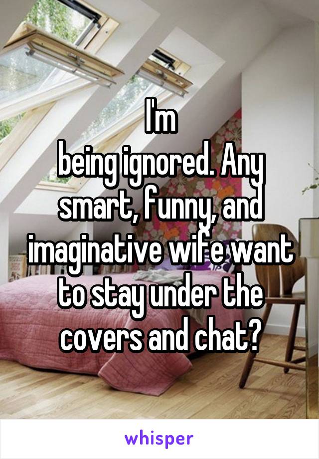 I'm
being ignored. Any smart, funny, and imaginative wife want to stay under the covers and chat?