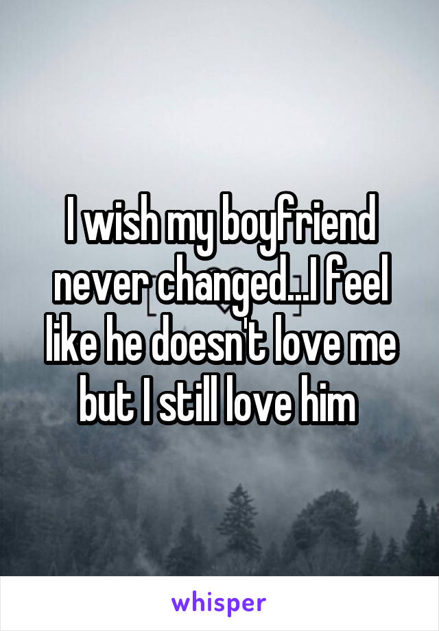 I wish my boyfriend never changed...I feel like he doesn't love me but I still love him 