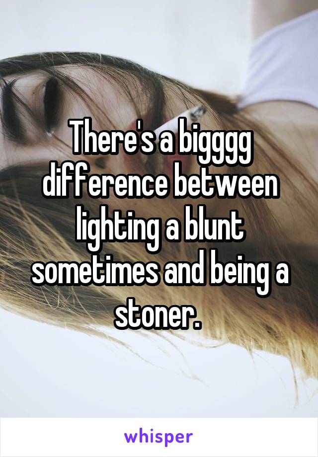 There's a bigggg difference between lighting a blunt sometimes and being a stoner. 