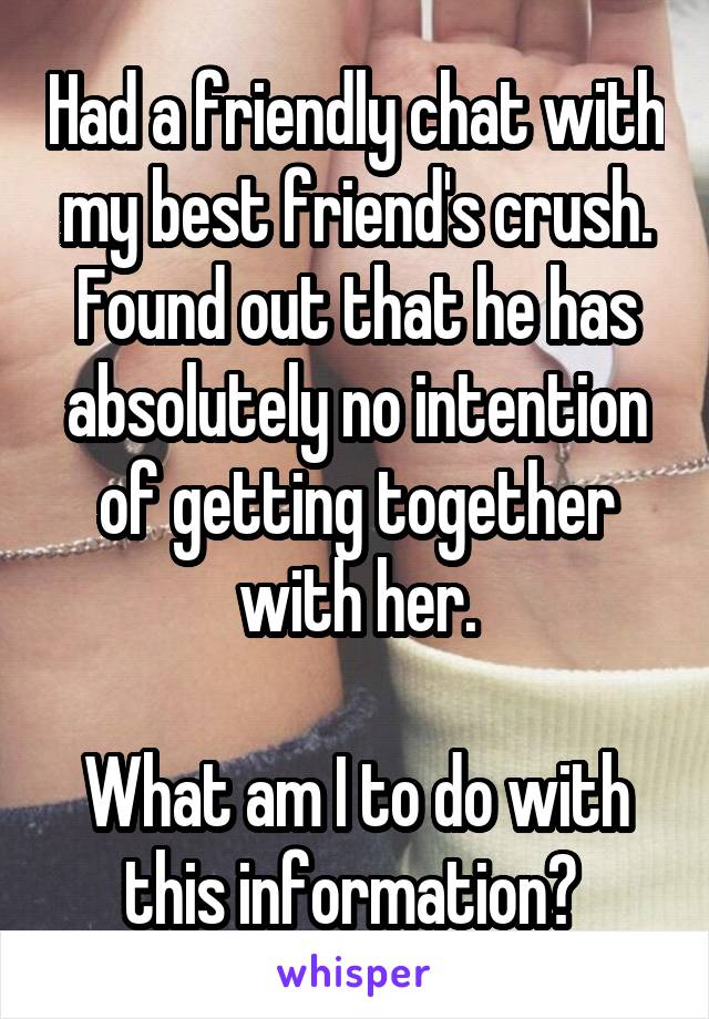 Had a friendly chat with my best friend's crush. Found out that he has absolutely no intention of getting together with her.

What am I to do with this information? 