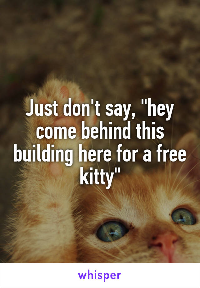 Just don't say, "hey come behind this building here for a free kitty"