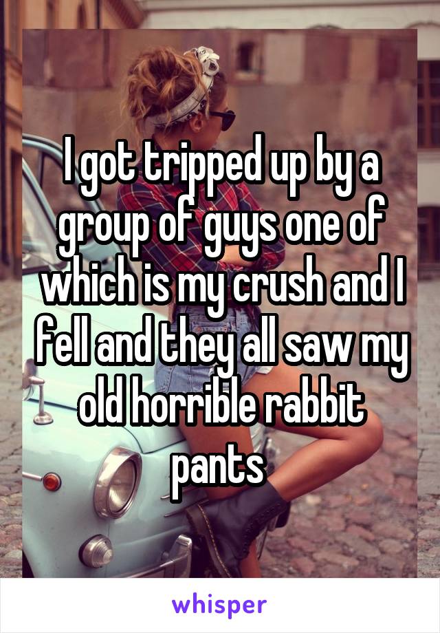 I got tripped up by a group of guys one of which is my crush and I fell and they all saw my old horrible rabbit pants 