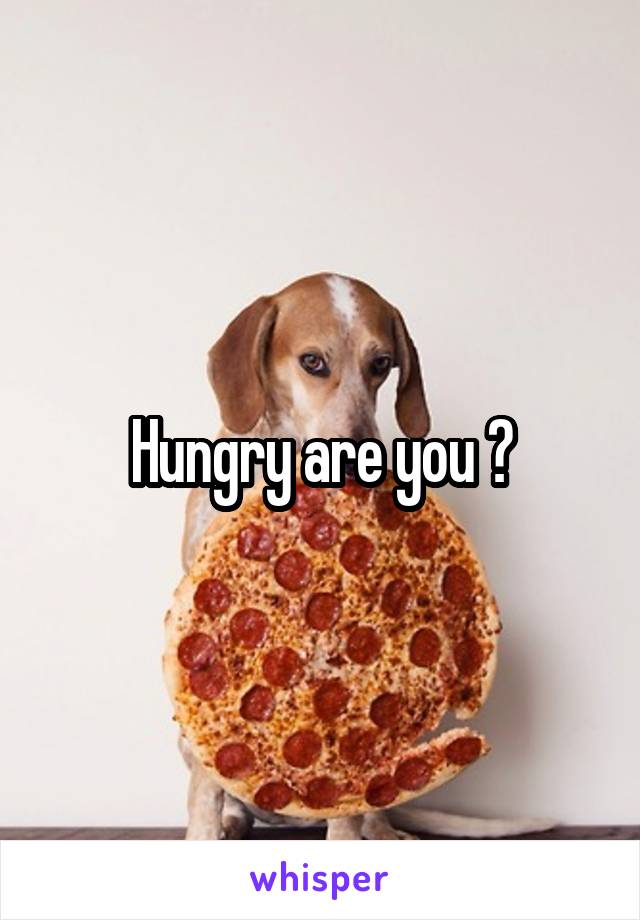 Hungry are you ?