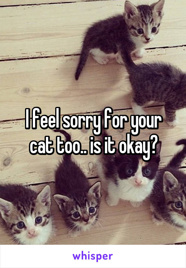 I feel sorry for your cat too.. is it okay?