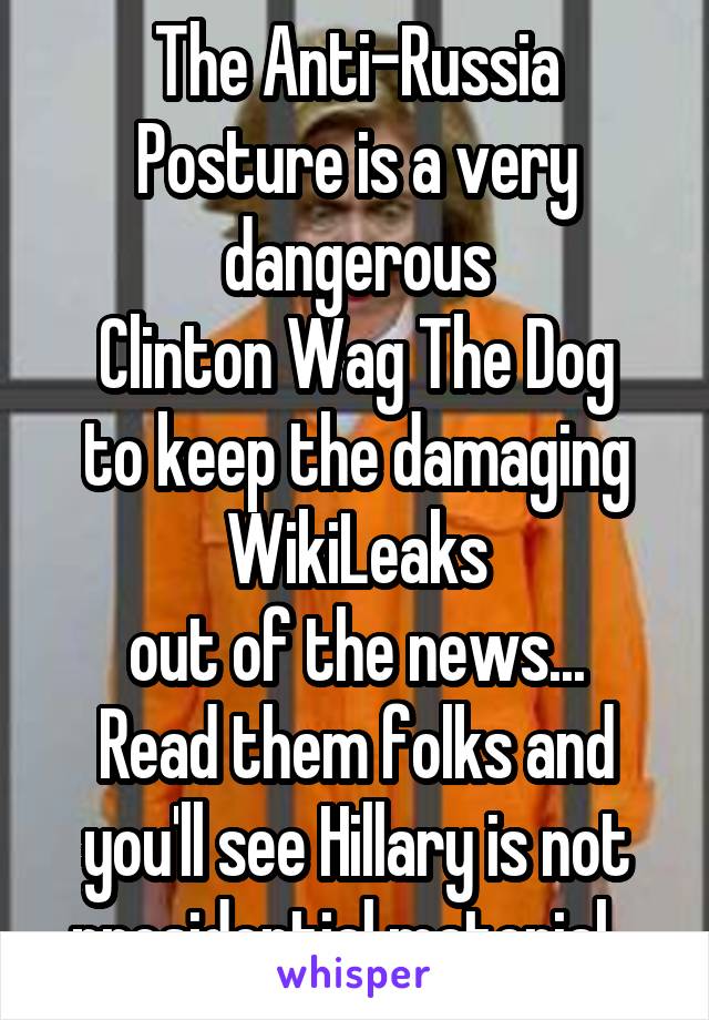 The Anti-Russia Posture is a very dangerous
Clinton Wag The Dog
to keep the damaging
WikiLeaks
out of the news...
Read them folks and you'll see Hillary is not presidential material...