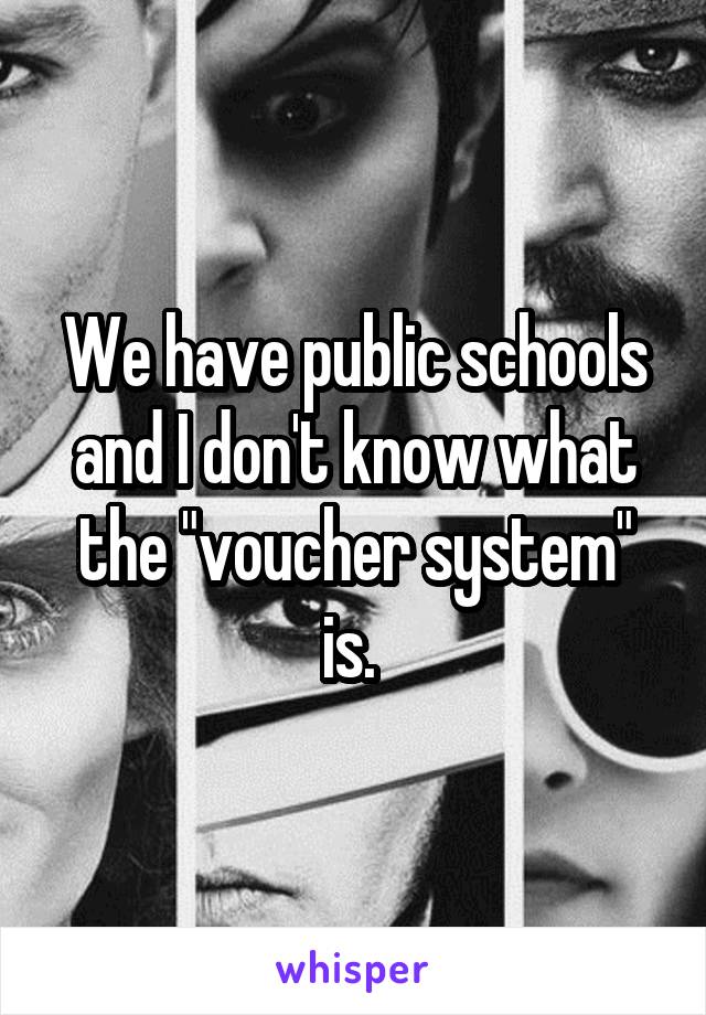 We have public schools and I don't know what the "voucher system" is. 