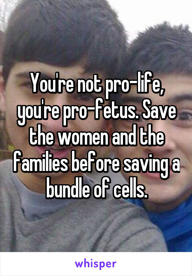 You're not pro-life, you're pro-fetus. Save the women and the families before saving a bundle of cells.