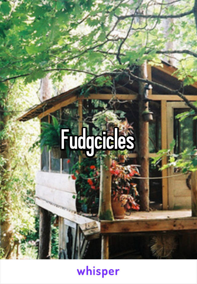 Fudgcicles 
