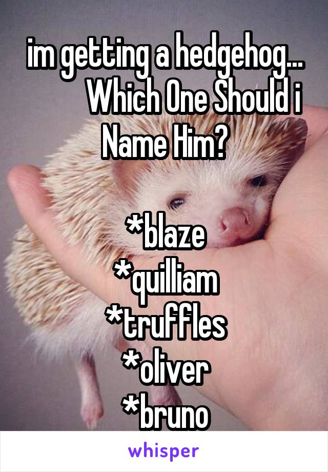 im getting a hedgehog...
         Which One Should i Name Him?

*blaze
*quilliam
*truffles
*oliver
*bruno