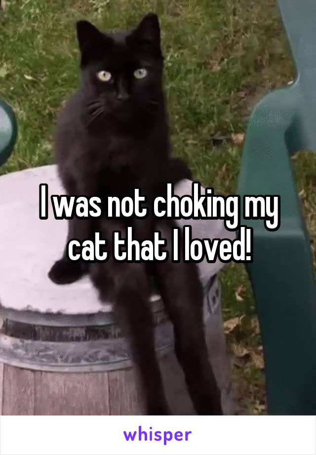 I was not choking my cat that I loved!