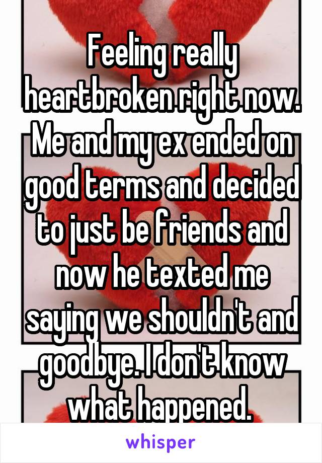 Feeling really heartbroken right now. Me and my ex ended on good terms and decided to just be friends and now he texted me saying we shouldn't and goodbye. I don't know what happened. 