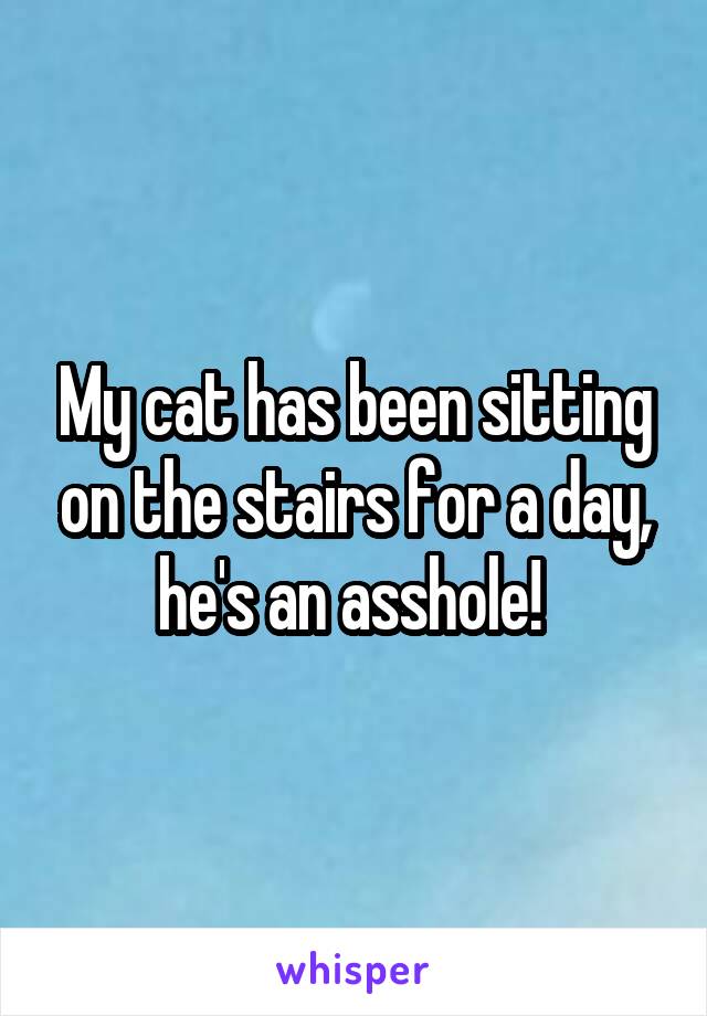 My cat has been sitting on the stairs for a day, he's an asshole! 