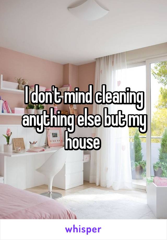 I don't mind cleaning anything else but my house 