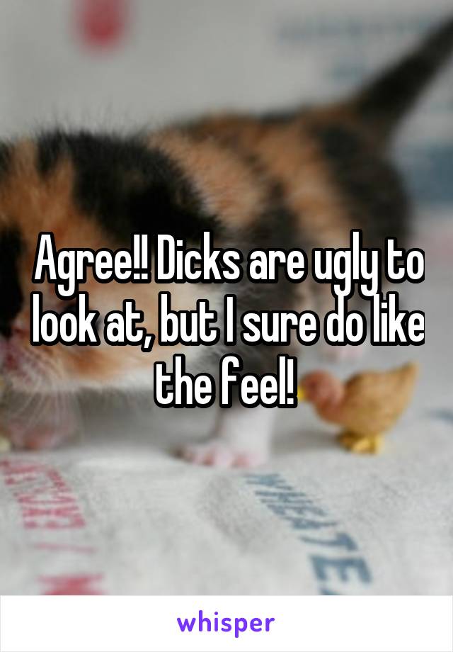 Agree!! Dicks are ugly to look at, but I sure do like the feel! 