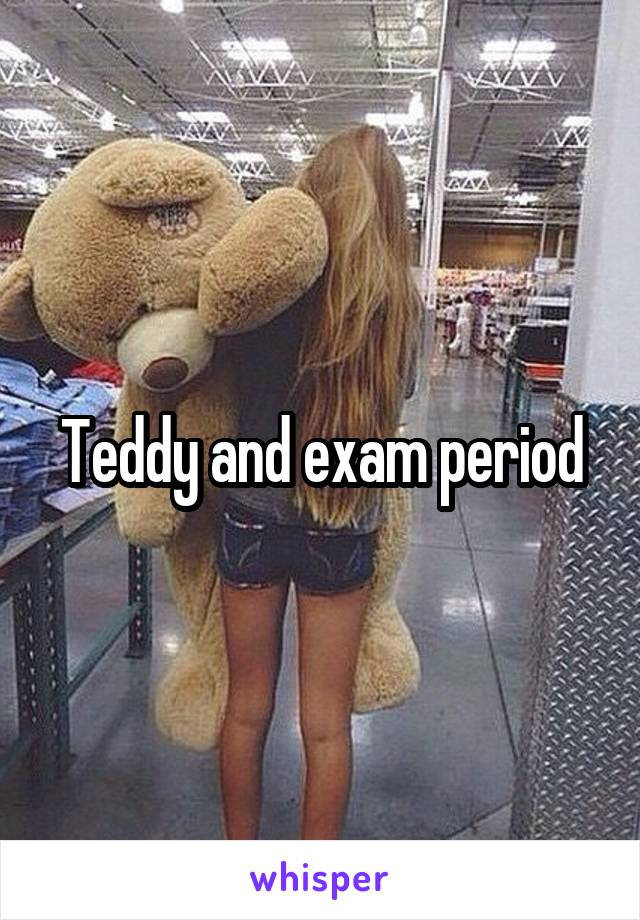 Teddy and exam period