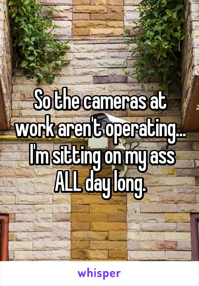 So the cameras at work aren't operating...
 I'm sitting on my ass ALL day long.