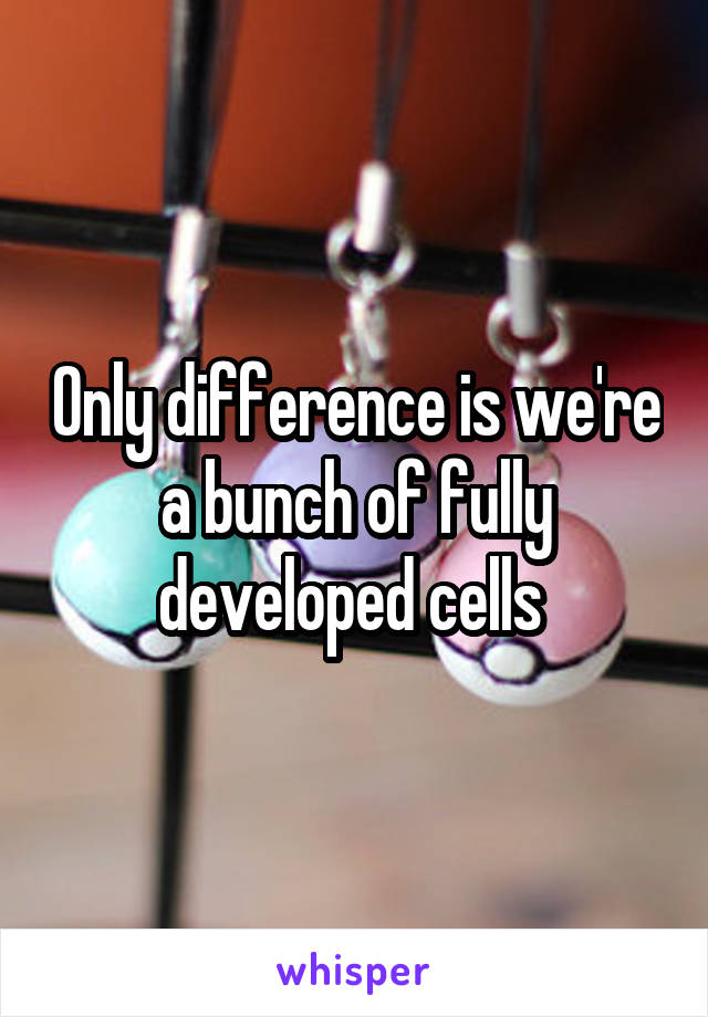 Only difference is we're a bunch of fully developed cells 