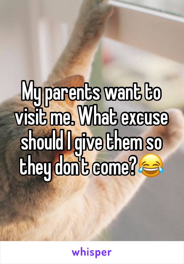 My parents want to visit me. What excuse should I give them so they don't come?😂