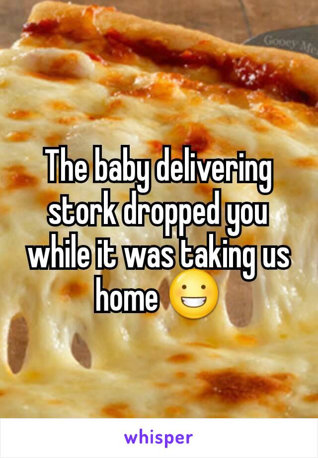 The baby delivering stork dropped you while it was taking us home 😀