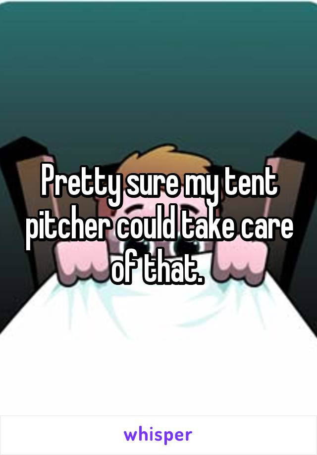 Pretty sure my tent pitcher could take care of that. 