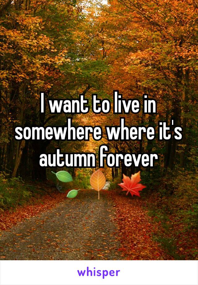 I want to live in somewhere where it's autumn forever
🍃🍂🍁