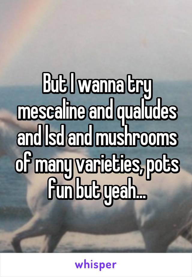 But I wanna try mescaline and qualudes and lsd and mushrooms of many varieties, pots fun but yeah...