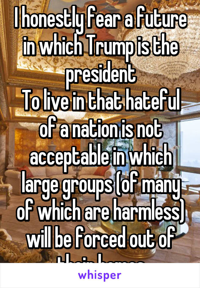 I honestly fear a future in which Trump is the president
To live in that hateful of a nation is not acceptable in which large groups (of many of which are harmless) will be forced out of their homes