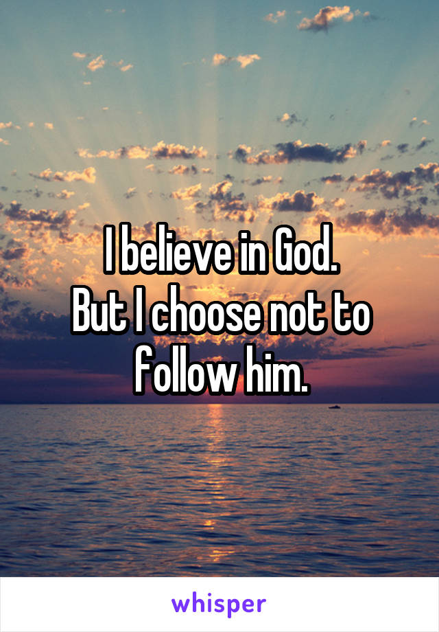 I believe in God.
But I choose not to follow him.