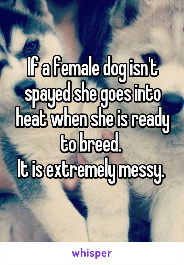 If a female dog isn't spayed she goes into heat when she is ready to breed. 
It is extremely messy. 

