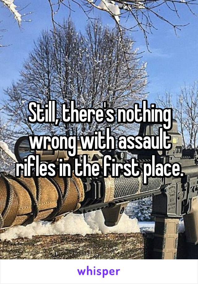 Still, there's nothing wrong with assault rifles in the first place.