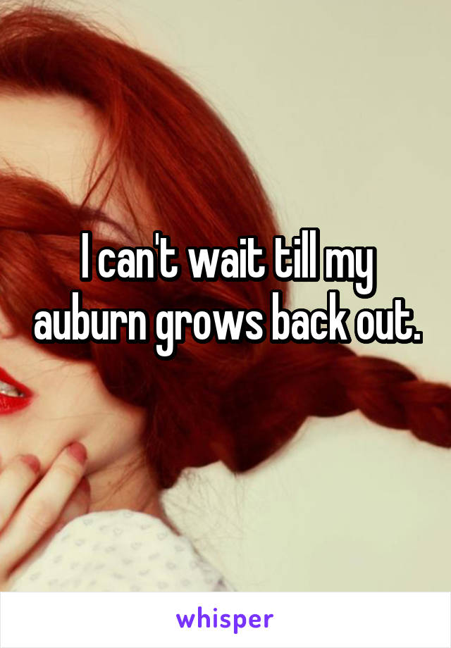 I can't wait till my auburn grows back out. 