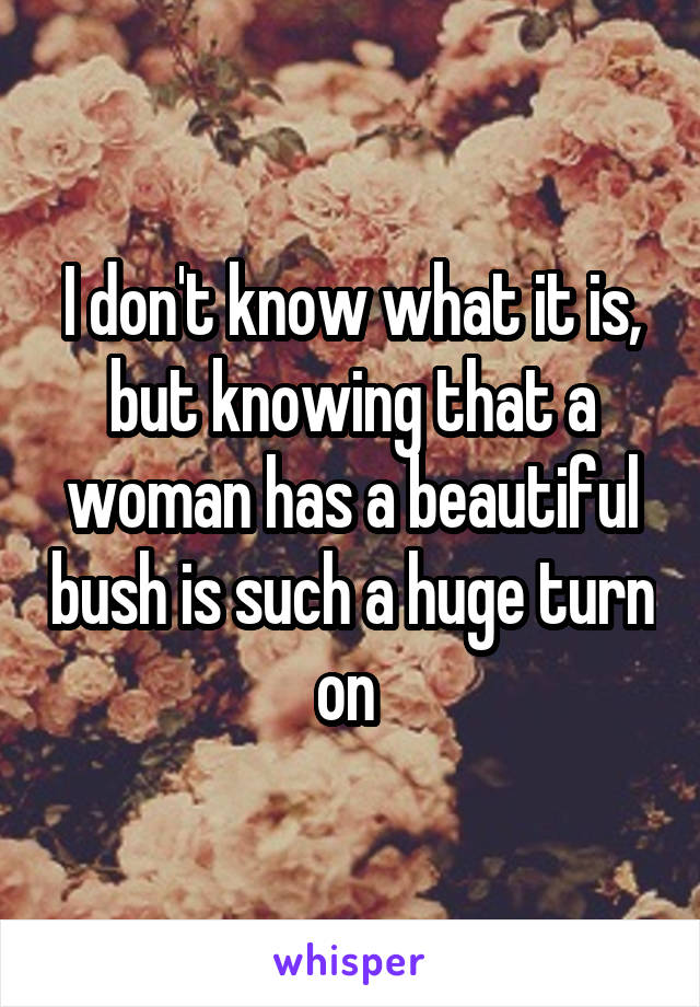 I don't know what it is, but knowing that a woman has a beautiful bush is such a huge turn on 
