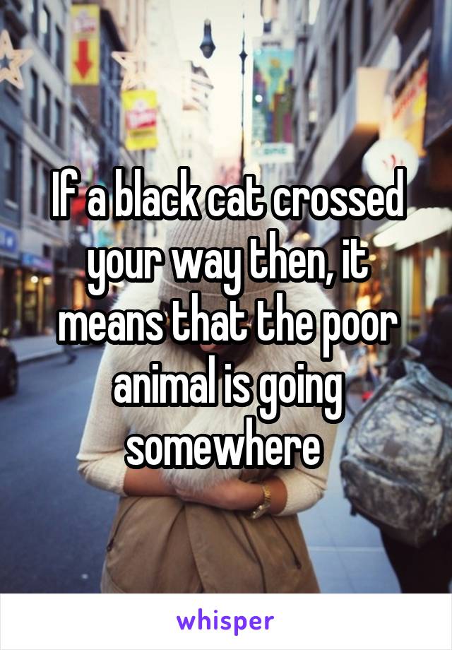 If a black cat crossed your way then, it means that the poor animal is going somewhere 