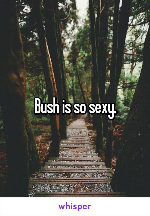 Bush is so sexy.