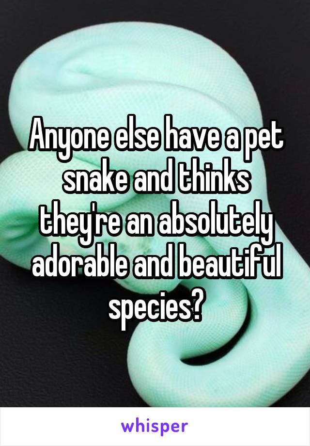 Anyone else have a pet snake and thinks they're an absolutely adorable and beautiful species?