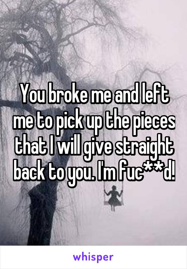 You broke me and left me to pick up the pieces that I will give straight back to you. I'm fuc**d!