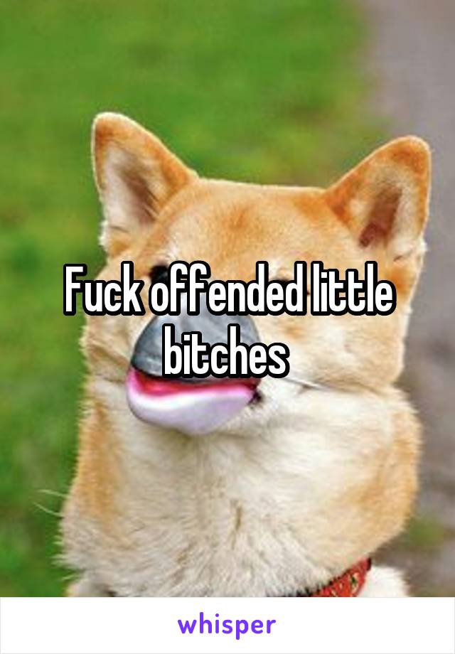 Fuck offended little bitches 