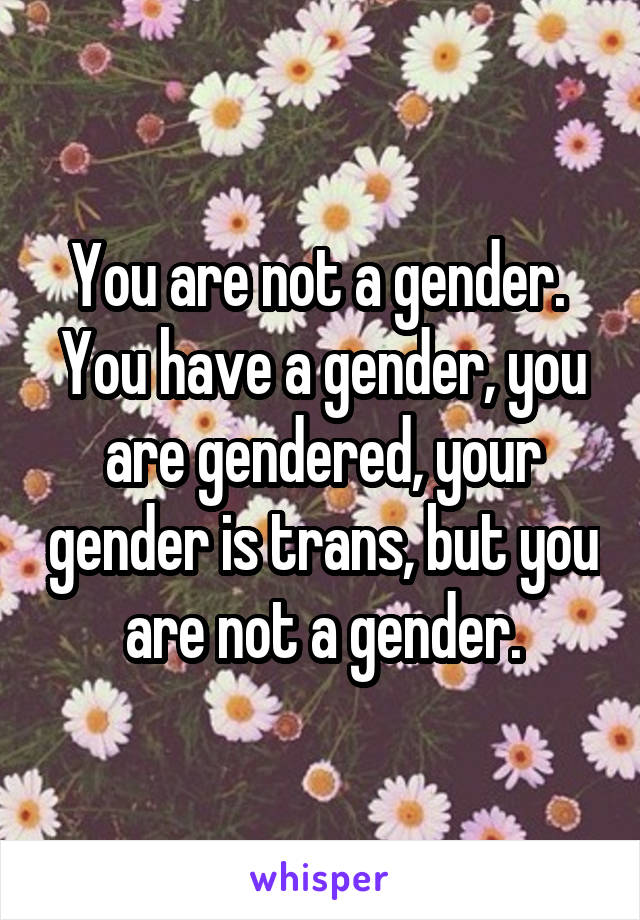 You are not a gender.  You have a gender, you are gendered, your gender is trans, but you are not a gender.