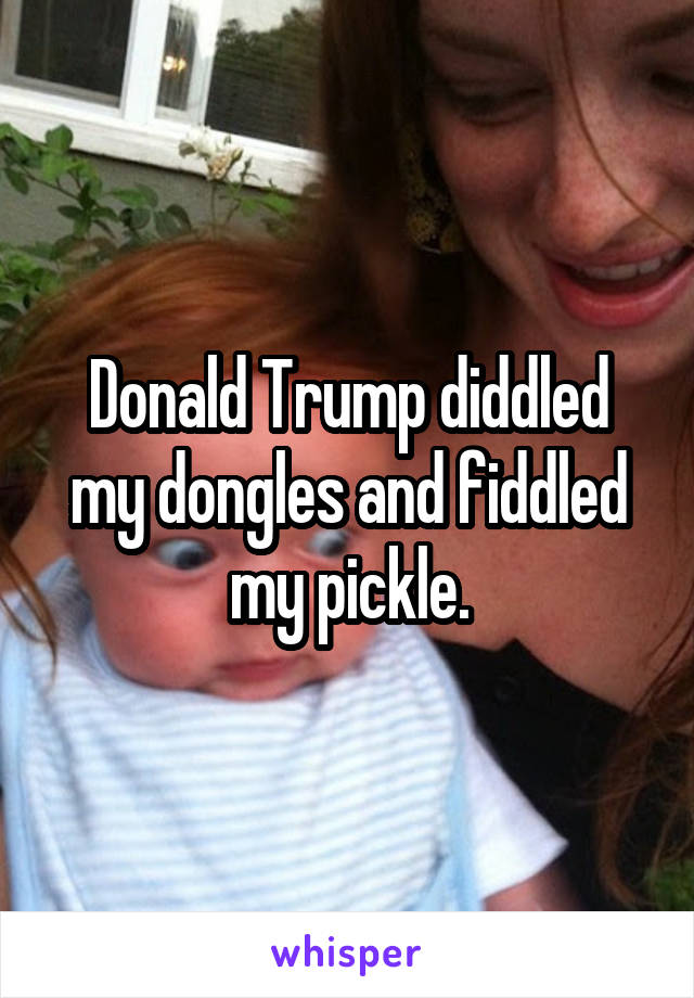 Donald Trump diddled my dongles and fiddled my pickle.
