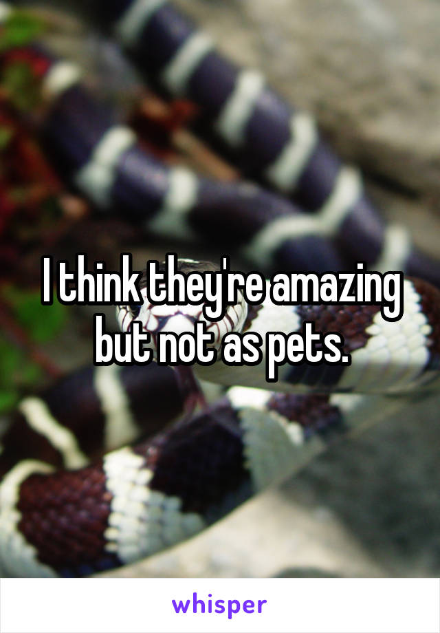 I think they're amazing but not as pets.
