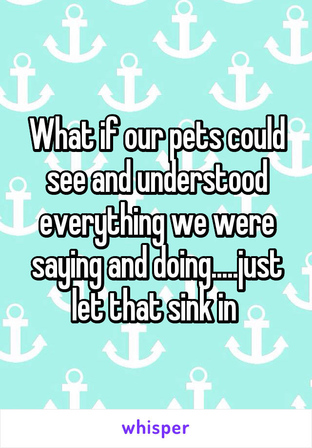 What if our pets could see and understood everything we were saying and doing.....just let that sink in 