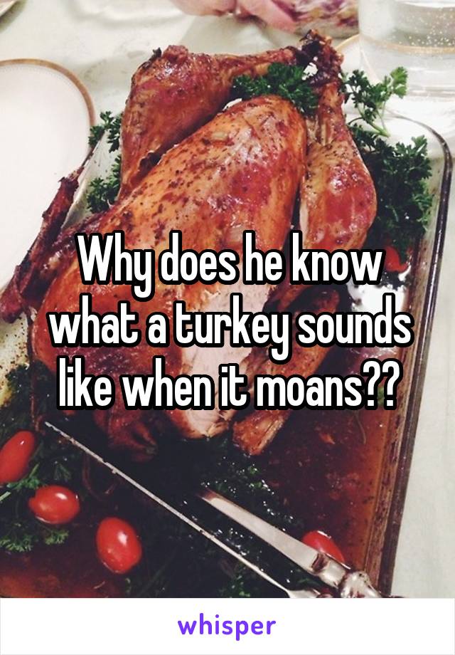 Why does he know what a turkey sounds like when it moans??