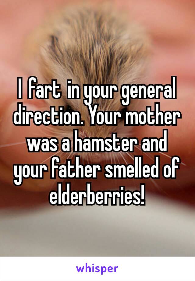 I fart in your general direction. Your mother was a hamster and your father smelled of elderberries!