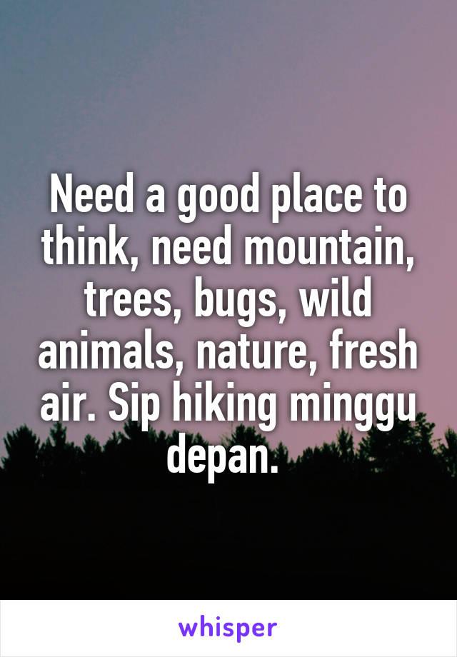 Need a good place to think, need mountain, trees, bugs, wild animals, nature, fresh air. Sip hiking minggu depan. 