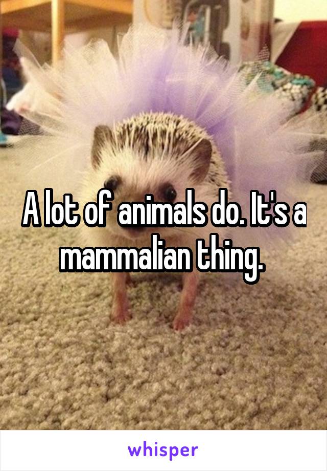 A lot of animals do. It's a mammalian thing. 