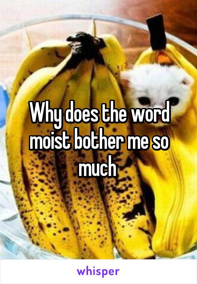Why does the word moist bother me so much 